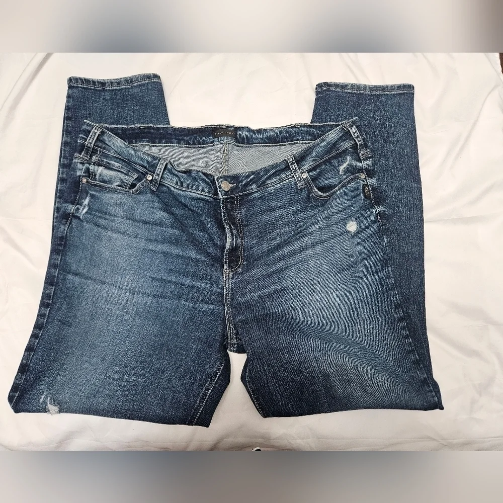 Silver Jeans Co. Plus Size Elyse Straight Leg Jeans!